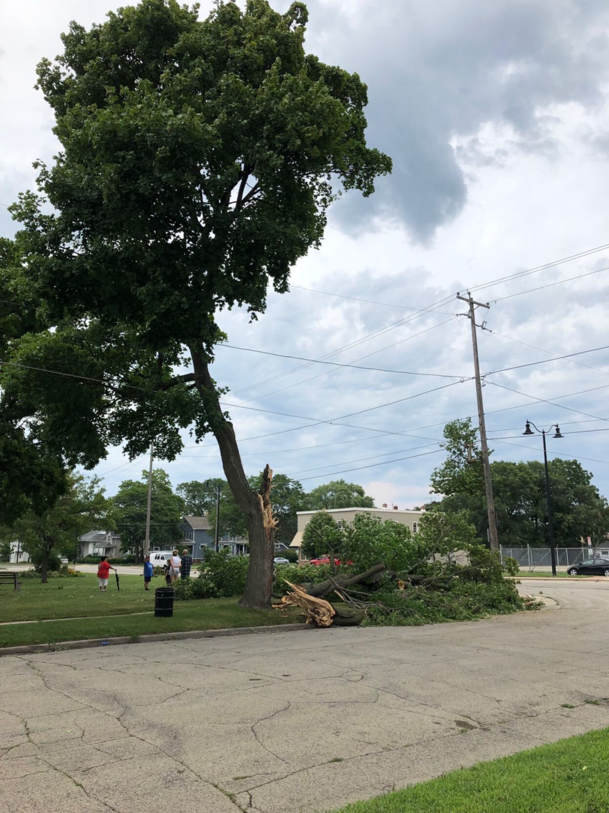 Storm damage at Union Park